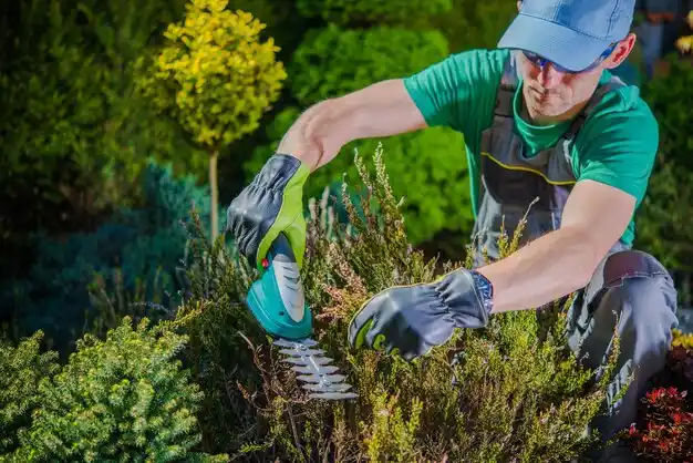 landscaping services Maple Rapids